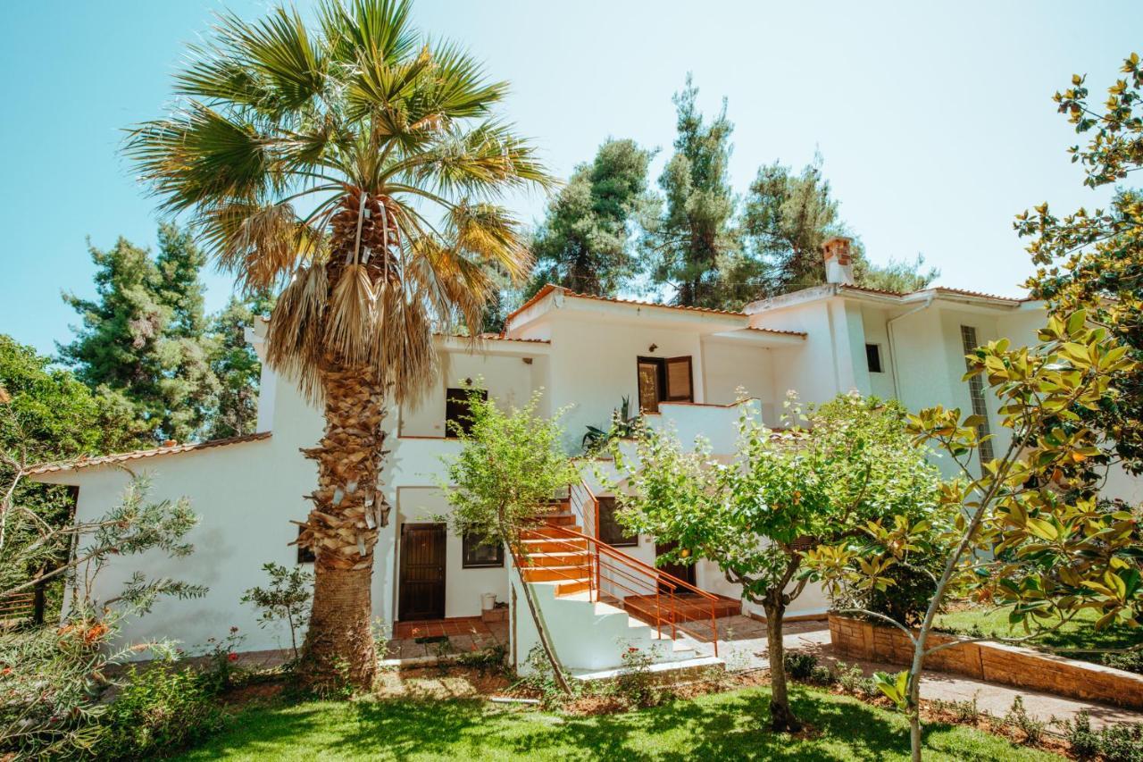 Forest House Near The Sea Sani  Exterior foto